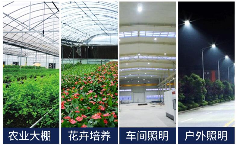 QQ截圖20200813110313.jpg
